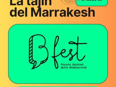 tajin_marrakesh